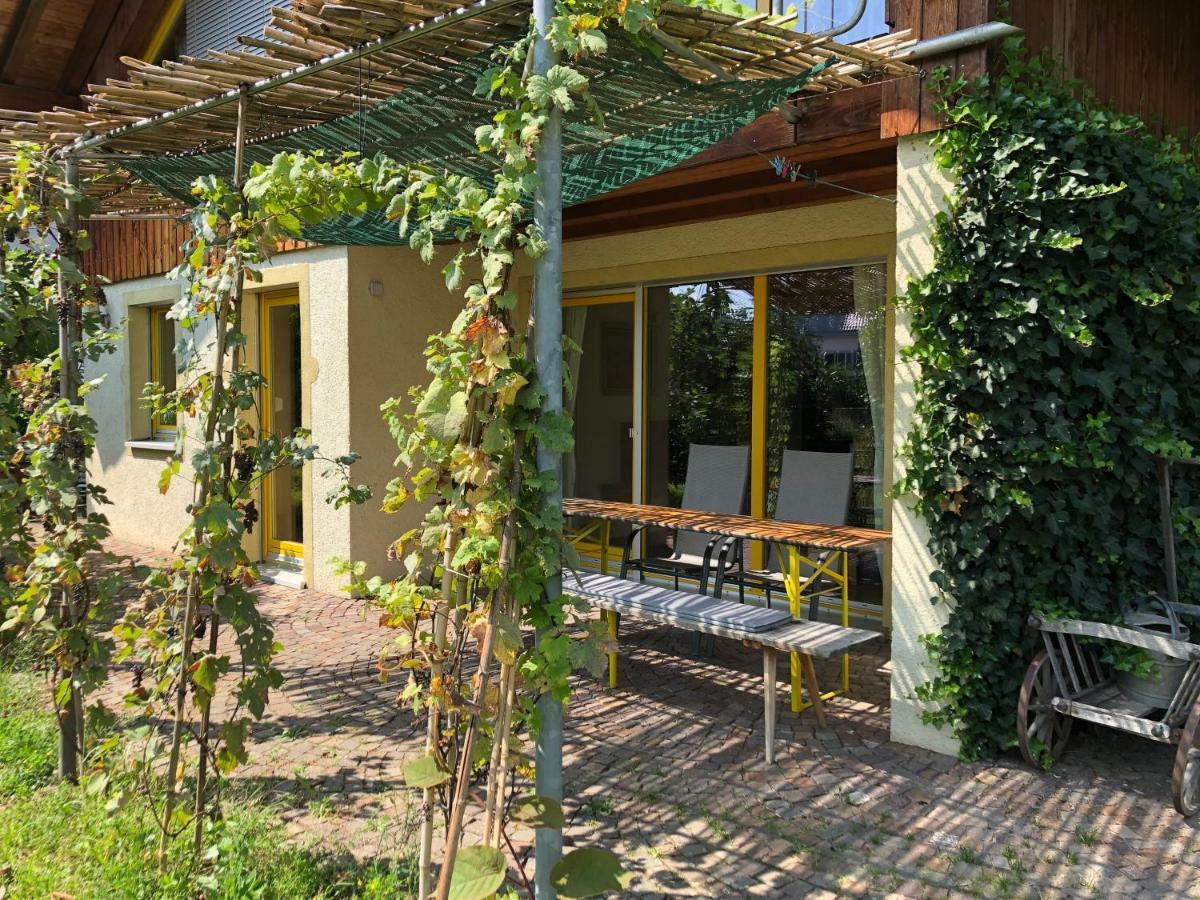 Gut Muellerleile Apartment Gengenbach Ngoại thất bức ảnh